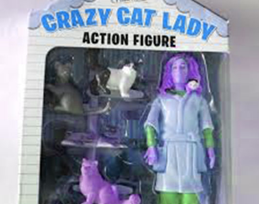 Crazy cat lady action figure