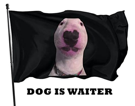 walter dog meme