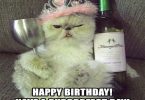 Crazy cat lady birthday meme