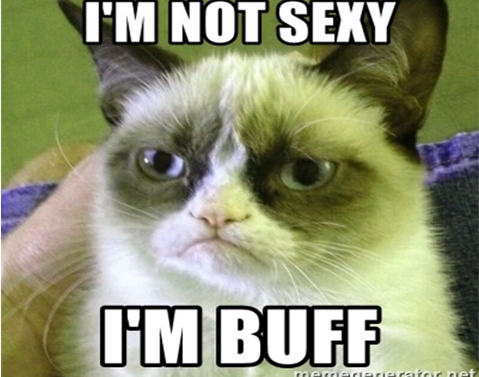 buff cat meme