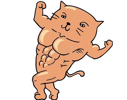 buff cat meme