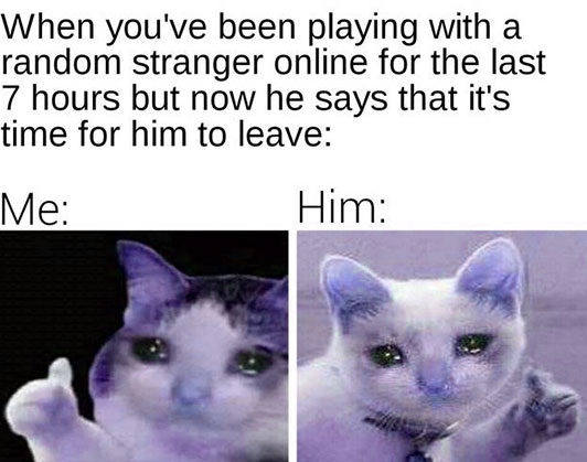 screaming crying cat meme