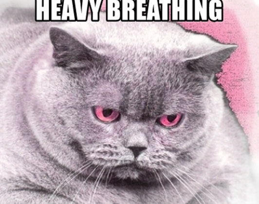 Heavy Breathing Cat Meme