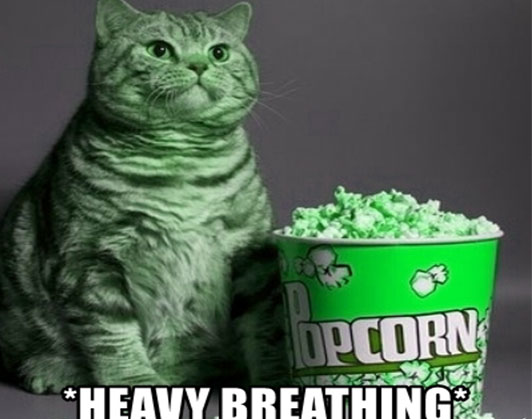 heavy breathing cat meme