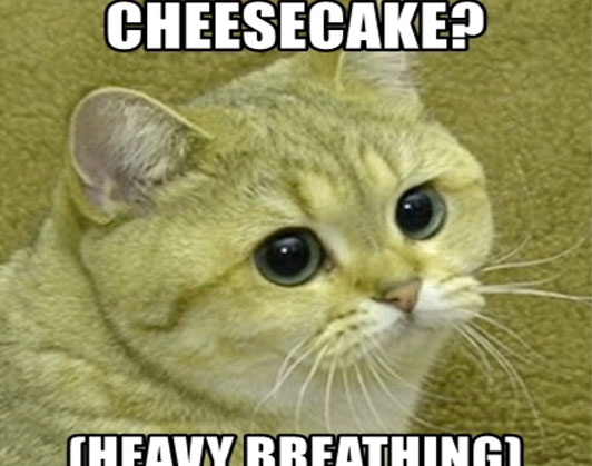 heavy breathing cat meme