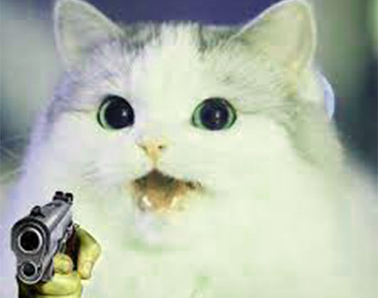 Cat with Gun Meme