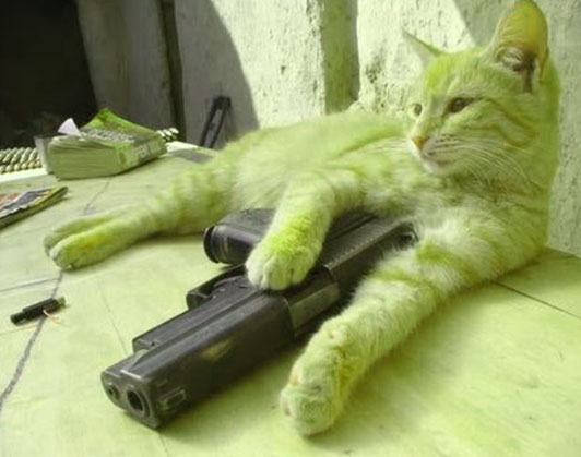 cat with gun meme