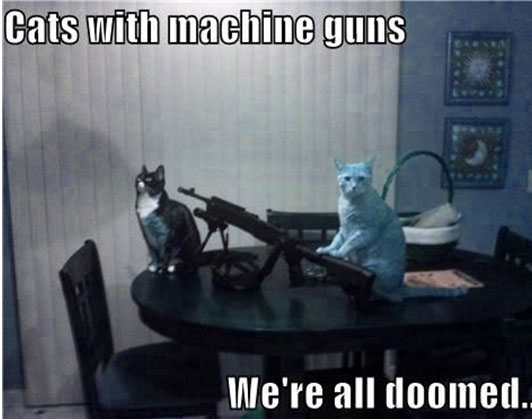 cat with gun meme