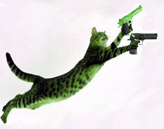 cat with gun meme