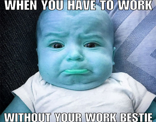 work bestie meme