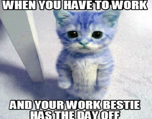 work bestie meme