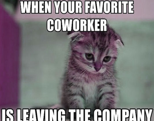 work bestie meme