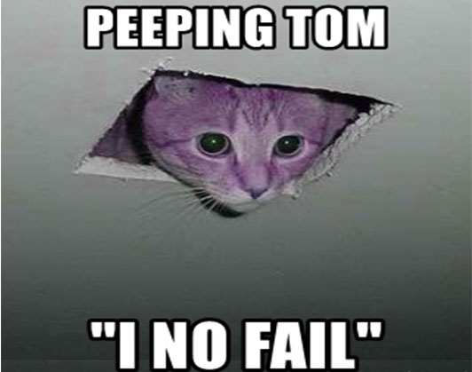 tom cat meme