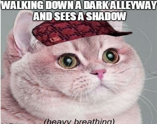 Heavy Breathing Cat Meme