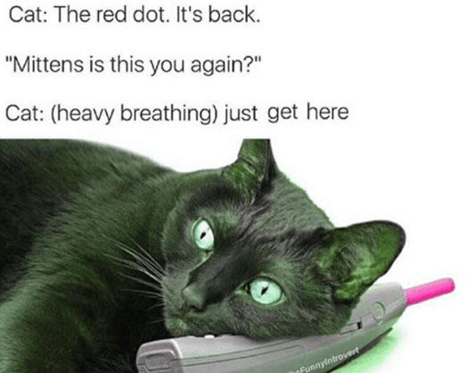 heavy breathing cat meme