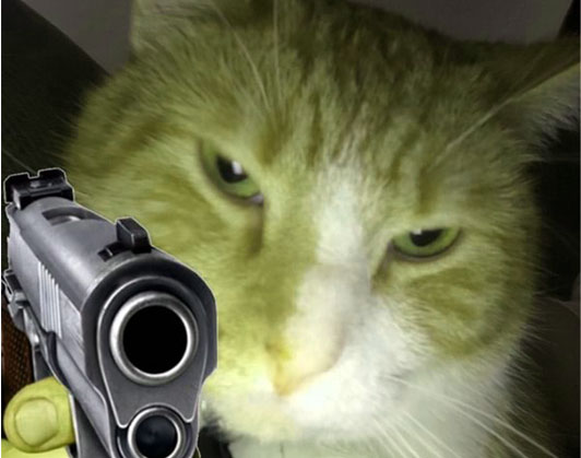 cat with gun meme