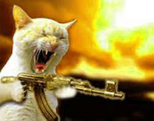 cat with gun meme