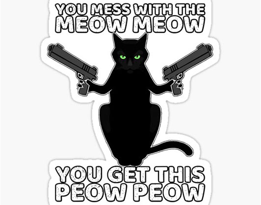 cat with gun meme