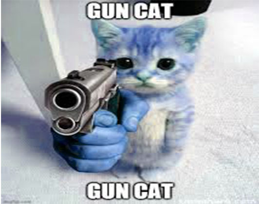 cat with gun meme