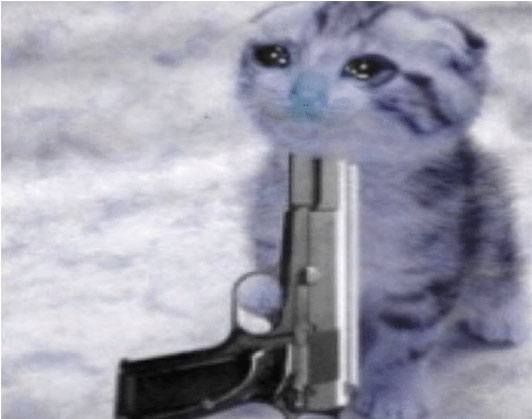 cat with gun meme