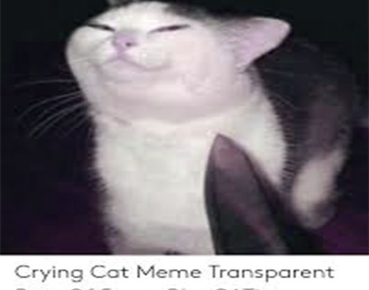 screaming crying cat meme