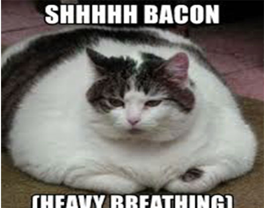 heavy breathing cat meme